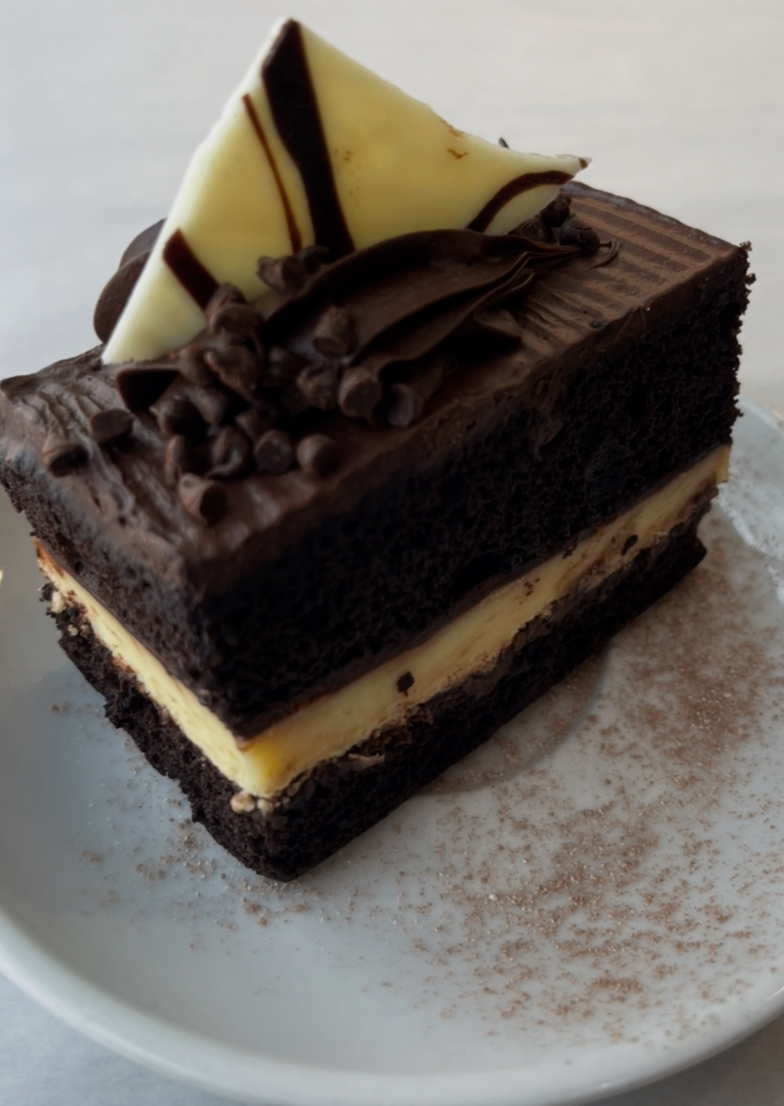 Piece of chocolate cake